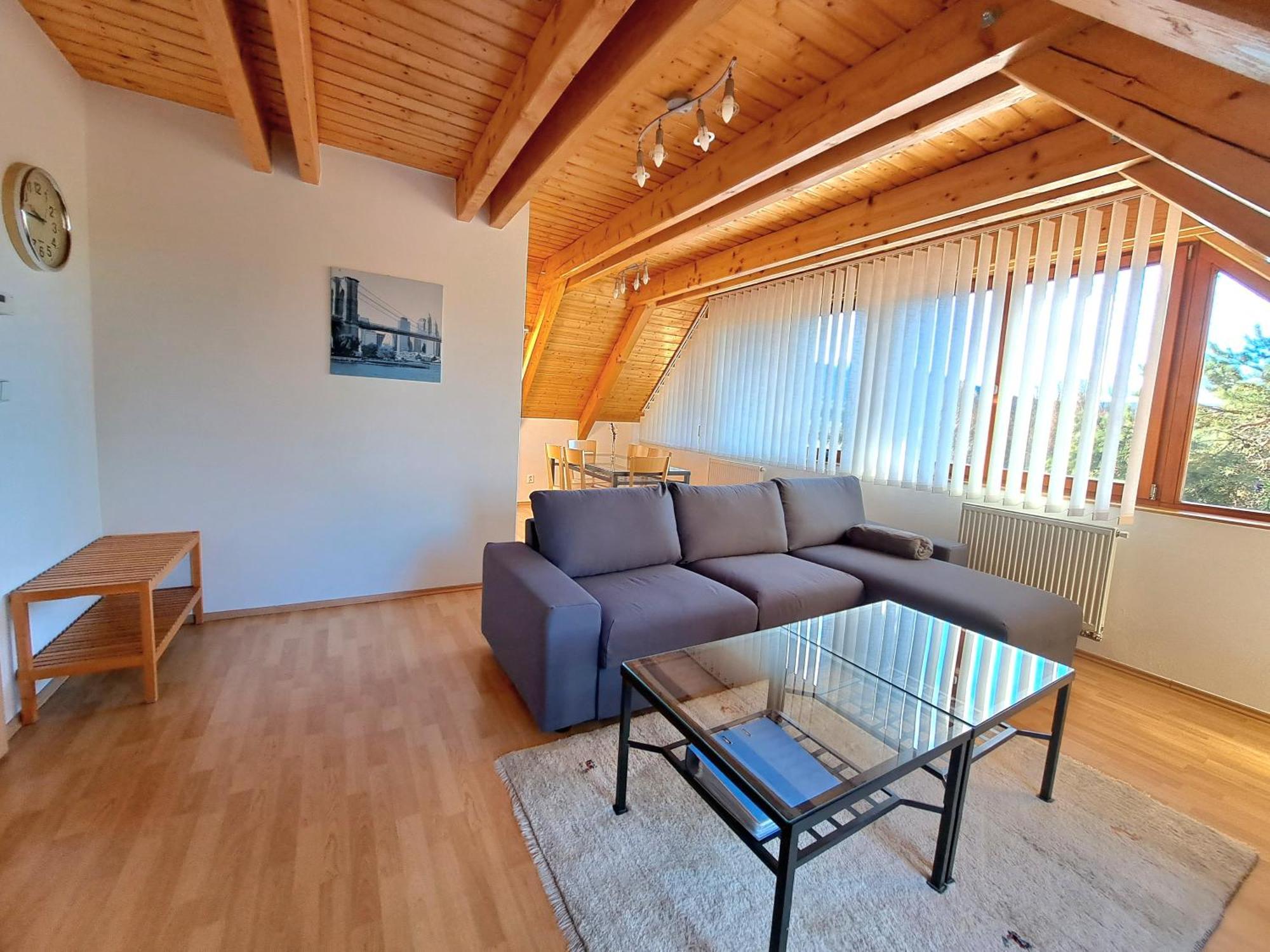 Apartmany Riviera 505 リプノ・ナト・ヴルタヴォウ エクステリア 写真